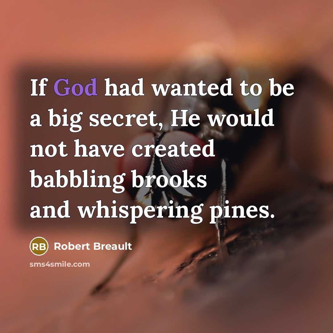 “If God had wanted to be a big secret, He…” quote by Robert Breault