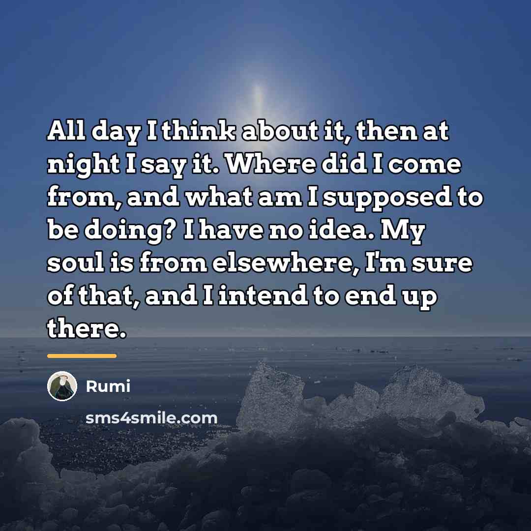 “All day I think about it, then at night I…” quote by Rumi