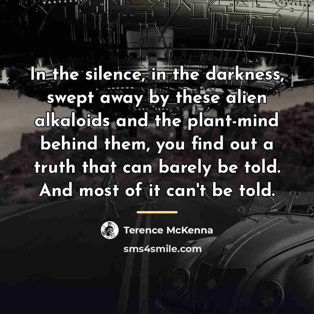 “In the silence, in the darkness, swept away by these…” quote by Terence McKenna