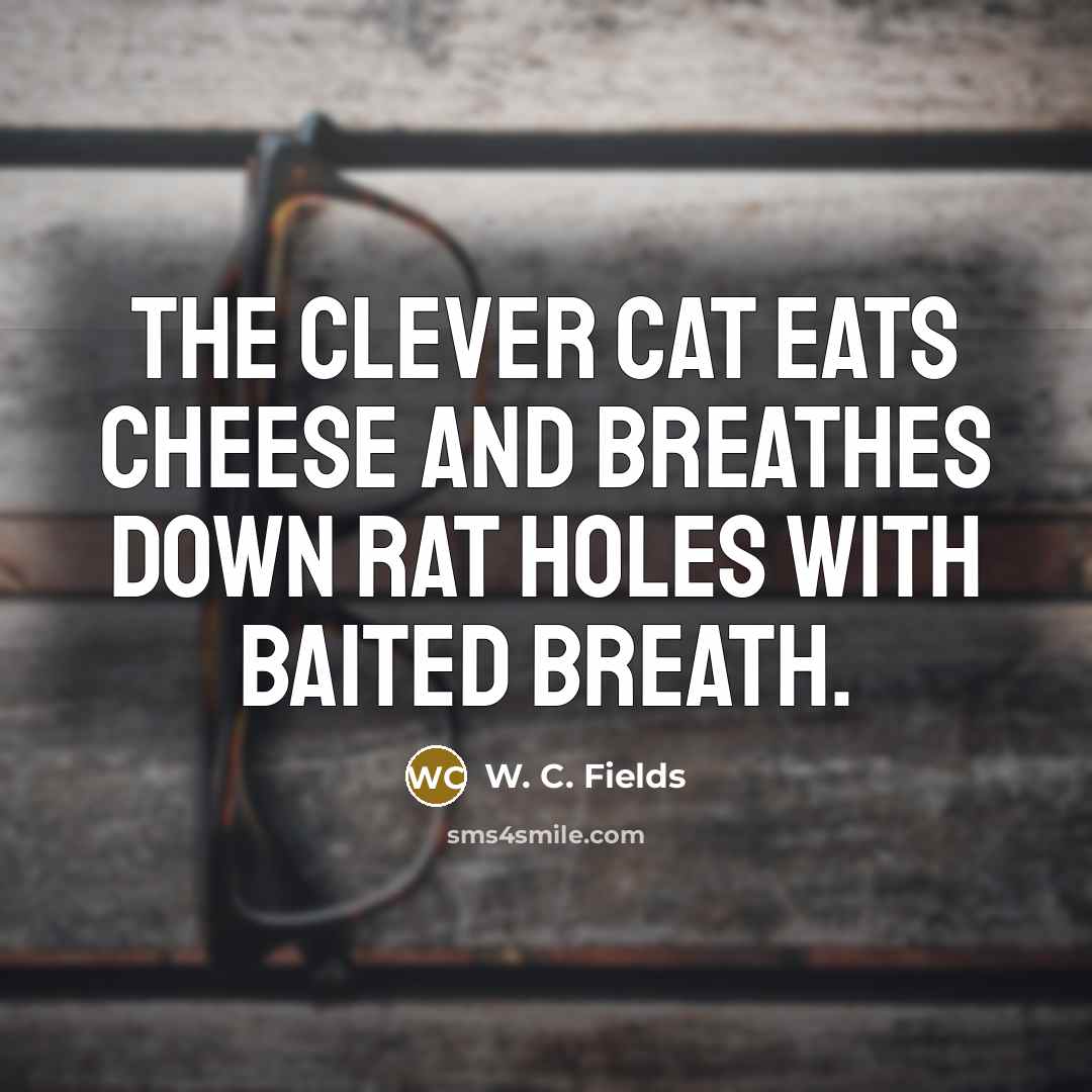 “The clever cat eats cheese and breathes down rat holes…” quote by W. C. Fields