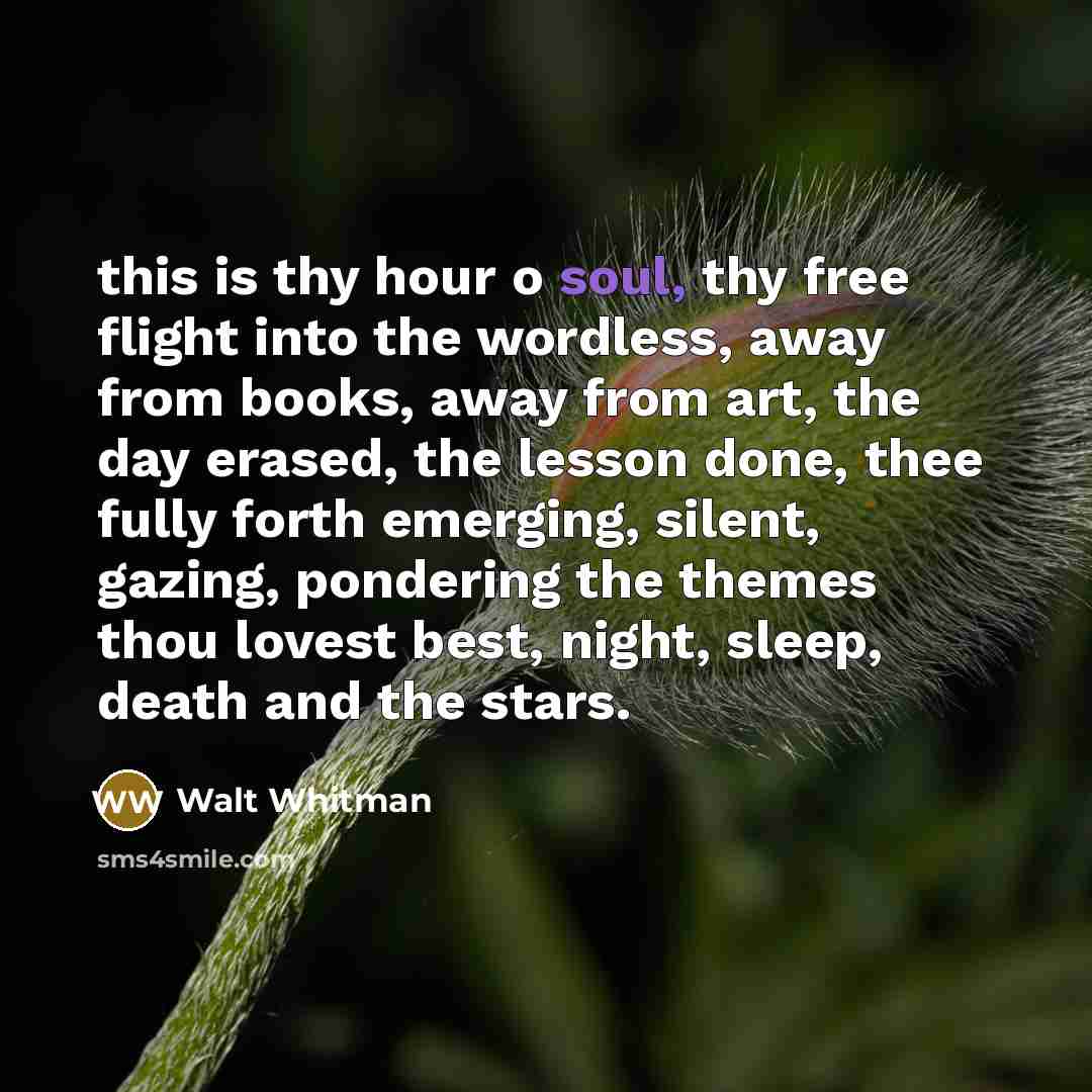 “this is thy hour o soul, thy free flight into…” quote by Walt Whitman