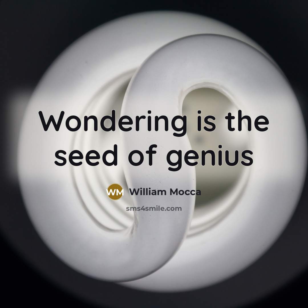“Wondering is the seed of genius…” quote by William Mocca