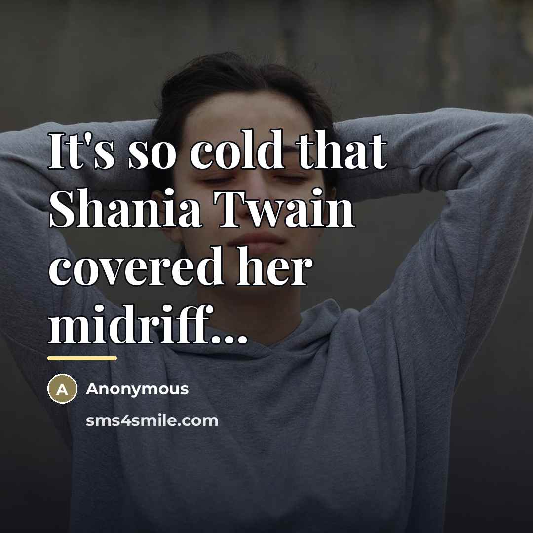 “It's so cold that Shania Twain covered her midriff...…” quote by Anonymous