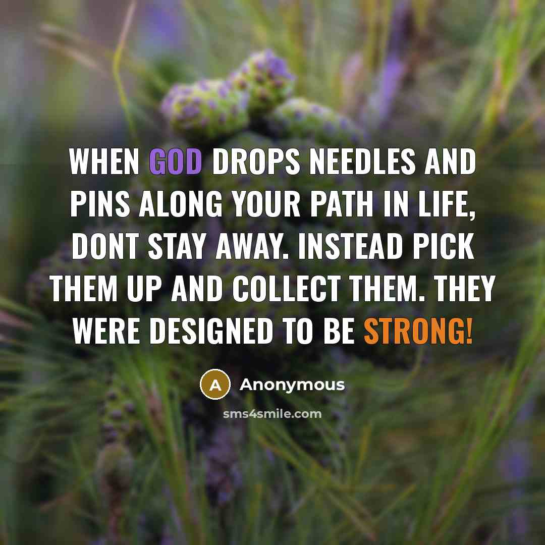 “When GOD drops needles and pins along your path in life, dont stay away. Instead pick them up and collect them. They were designed to be STRONG!” quote by Anonymous
