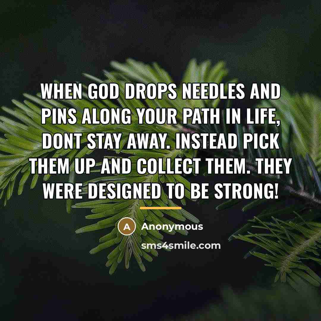 “When GOD drops needles and pins along your path in…” quote by Anonymous