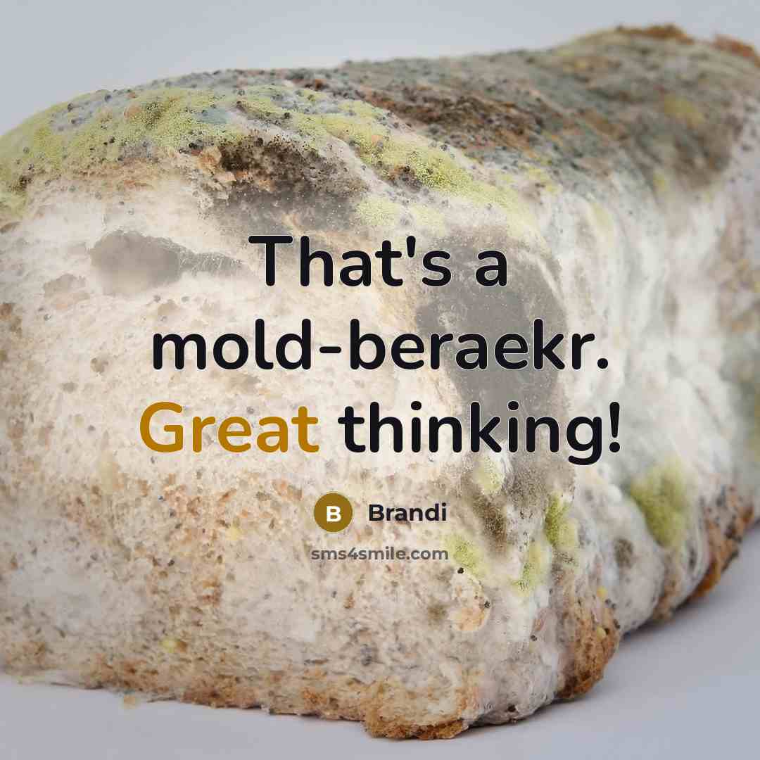 “That's a mold-beraekr. Great thinking!…” quote by Brandi