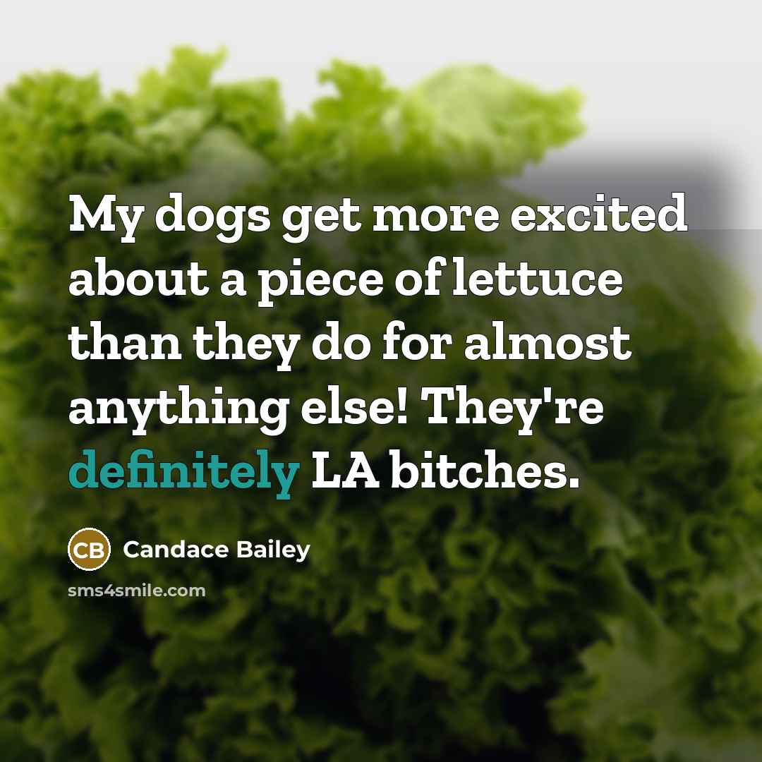 “My dogs get more excited about a piece of lettuce than they do for almost anything else! They're definitely LA bitches.” quote by Candace Bailey