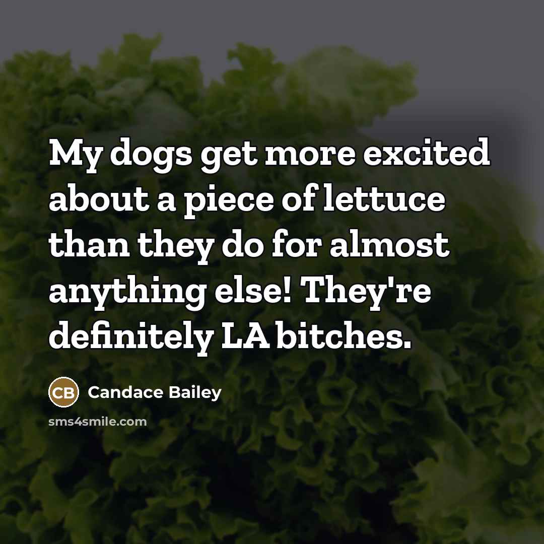 “My dogs get more excited about a piece of lettuce…” quote by Candace Bailey