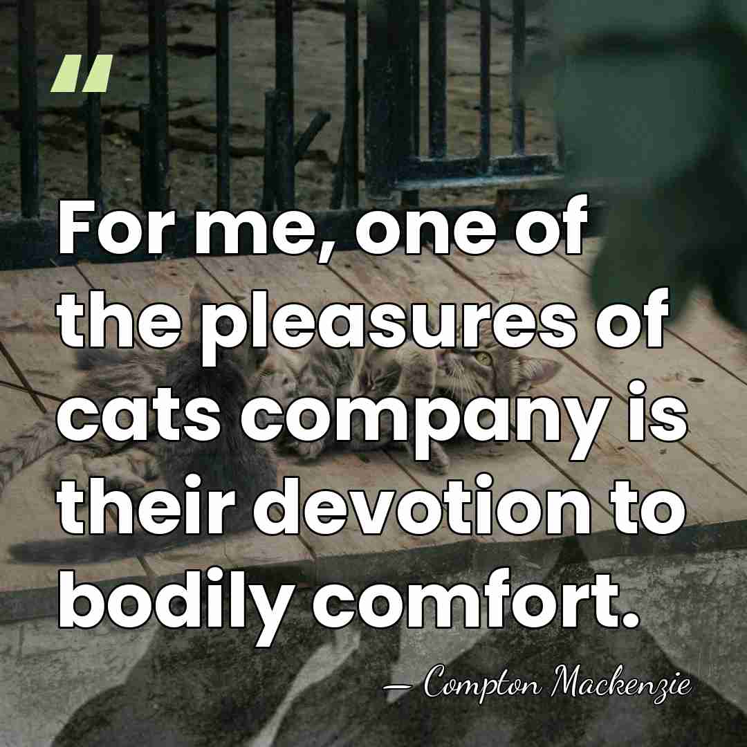 For me, one of the pleasures of cats company is their devotion&hellip; - Compton Mackenzie