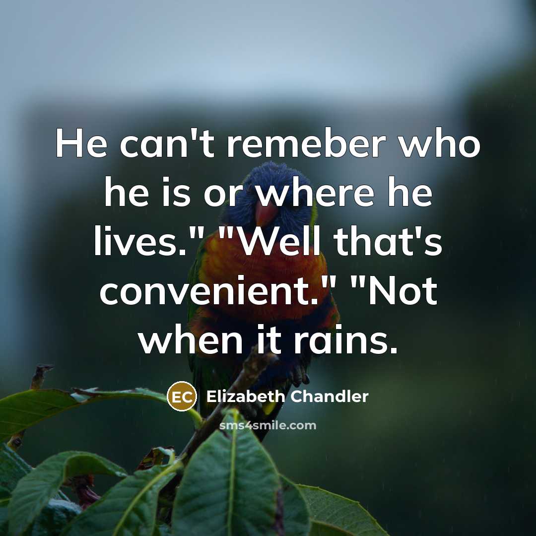 “He can't remeber who he is or where he lives." "Well that's convenient." "Not when it rains.” quote by Elizabeth Chandler