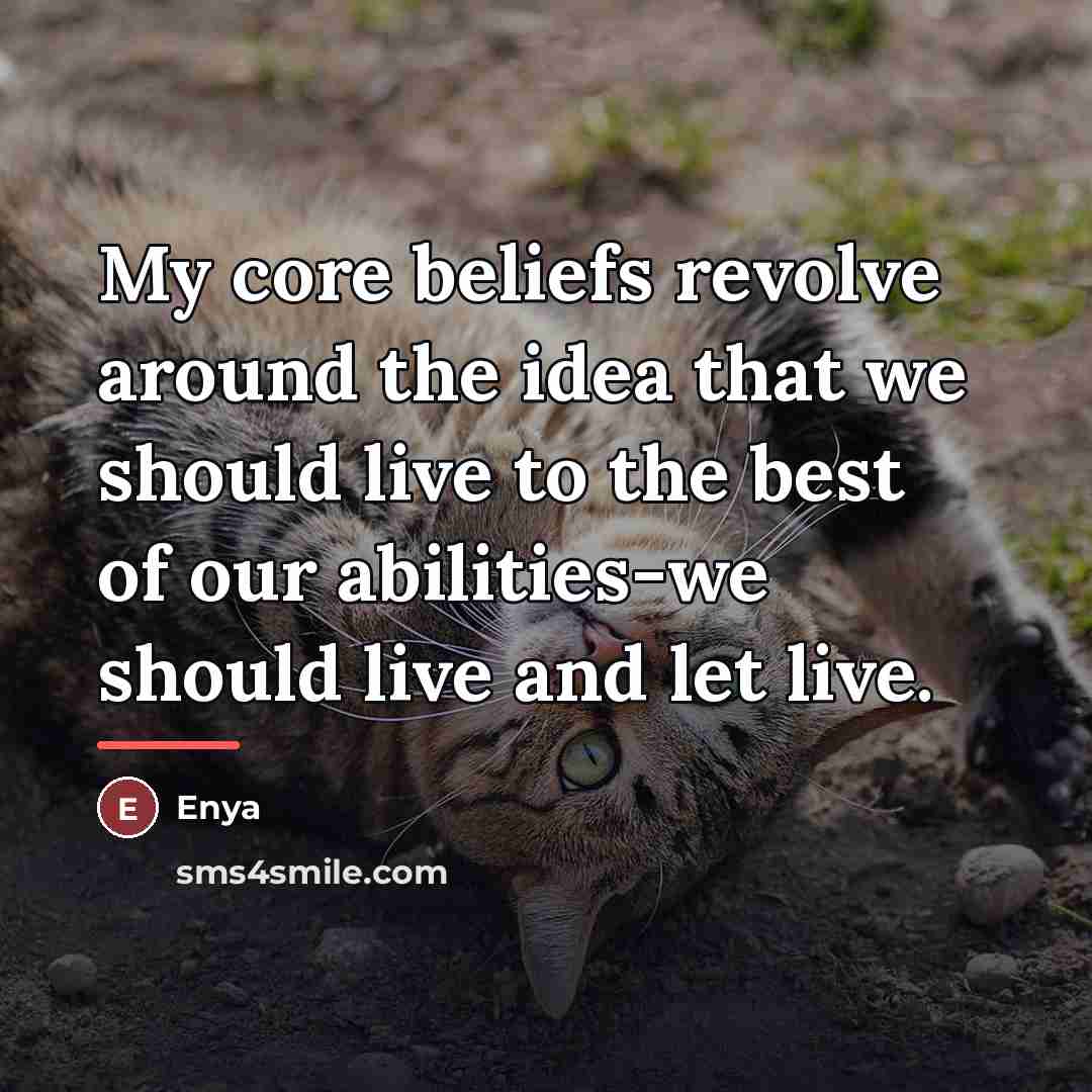 “My core beliefs revolve around the idea that we should…” quote by Enya