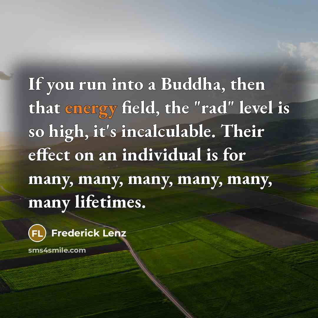 “If you run into a Buddha, then that energy field,…” quote by Frederick Lenz