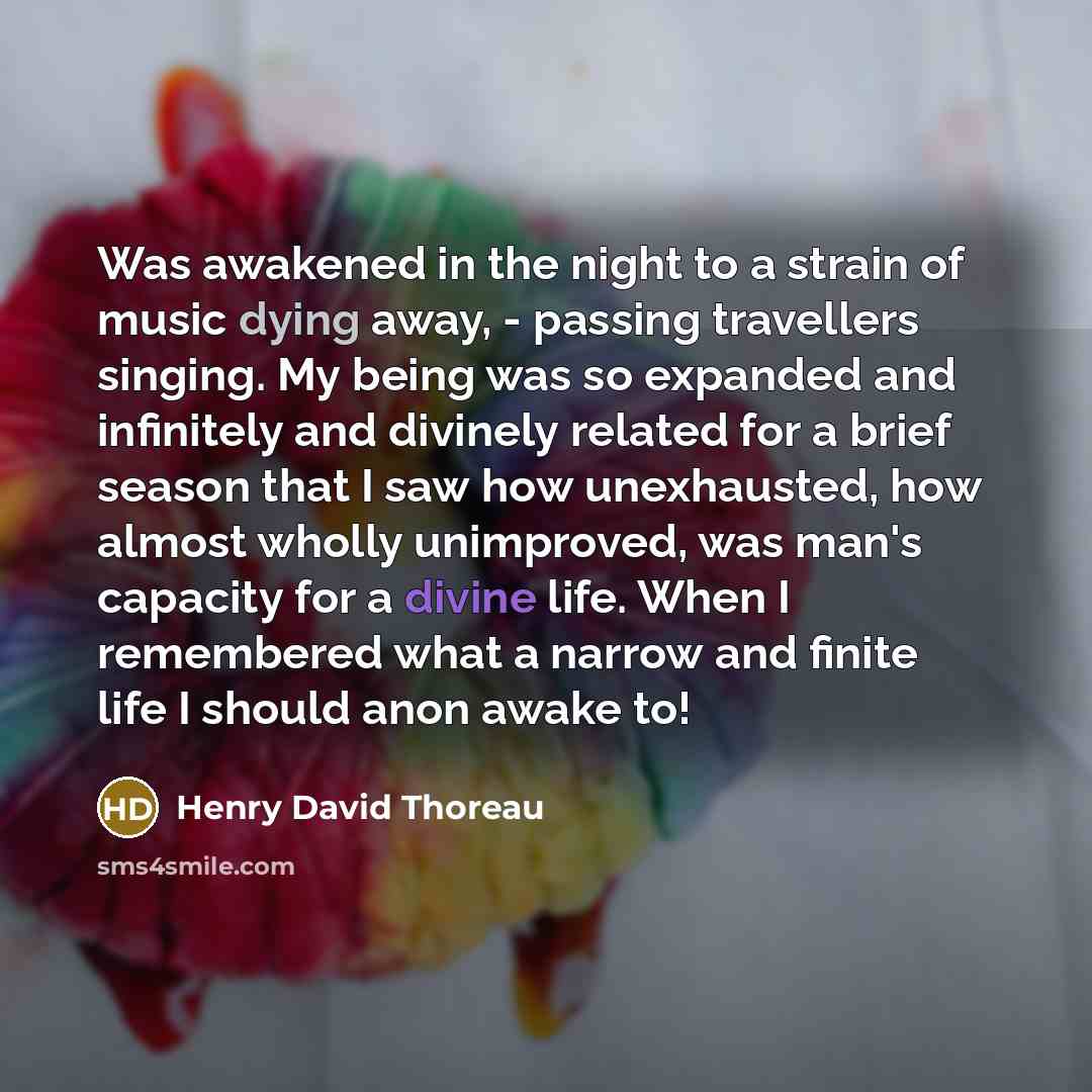 “Was awakened in the night to a strain of music…” quote by Henry David Thoreau