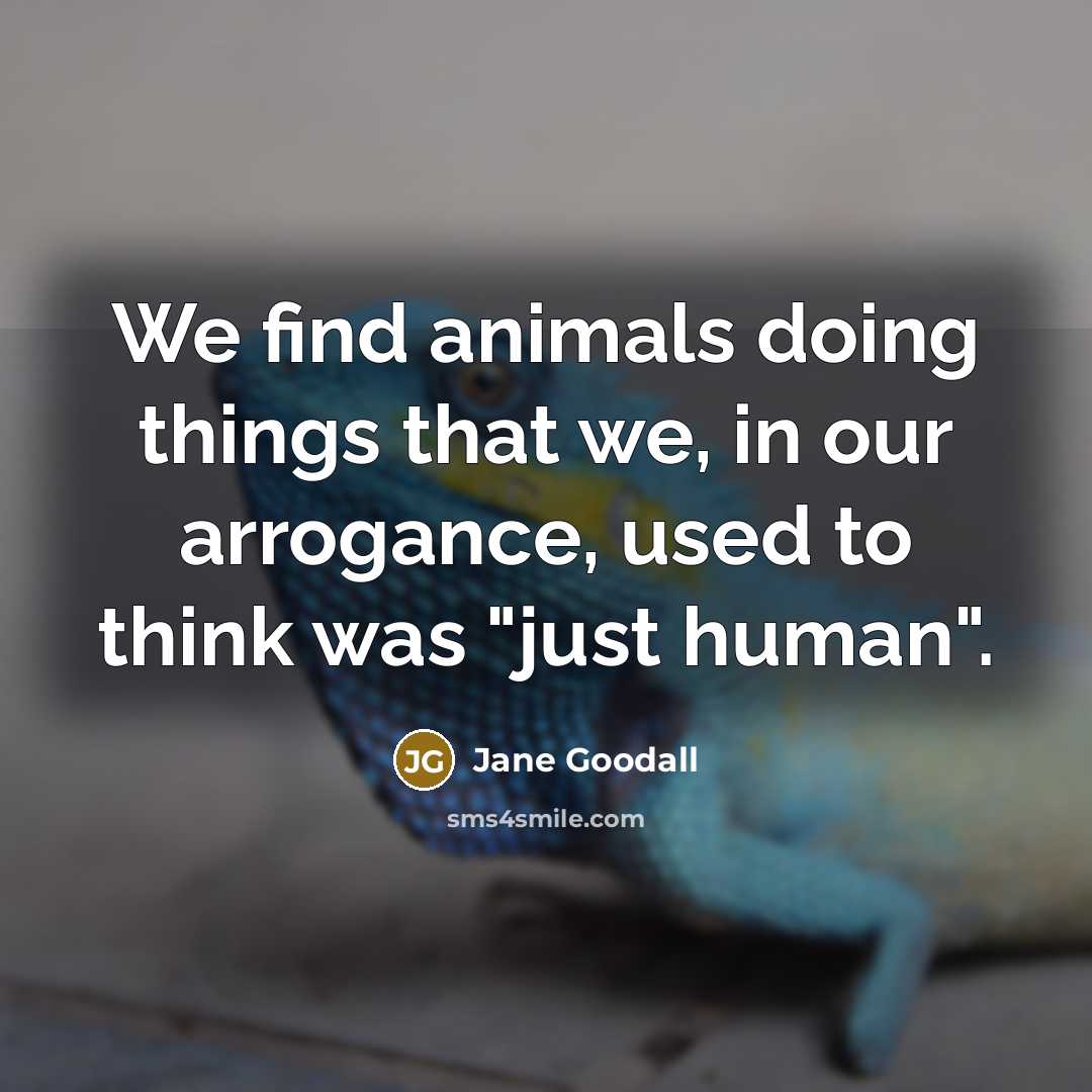 “We find animals doing things that we, in our arrogance,…” quote by Jane Goodall