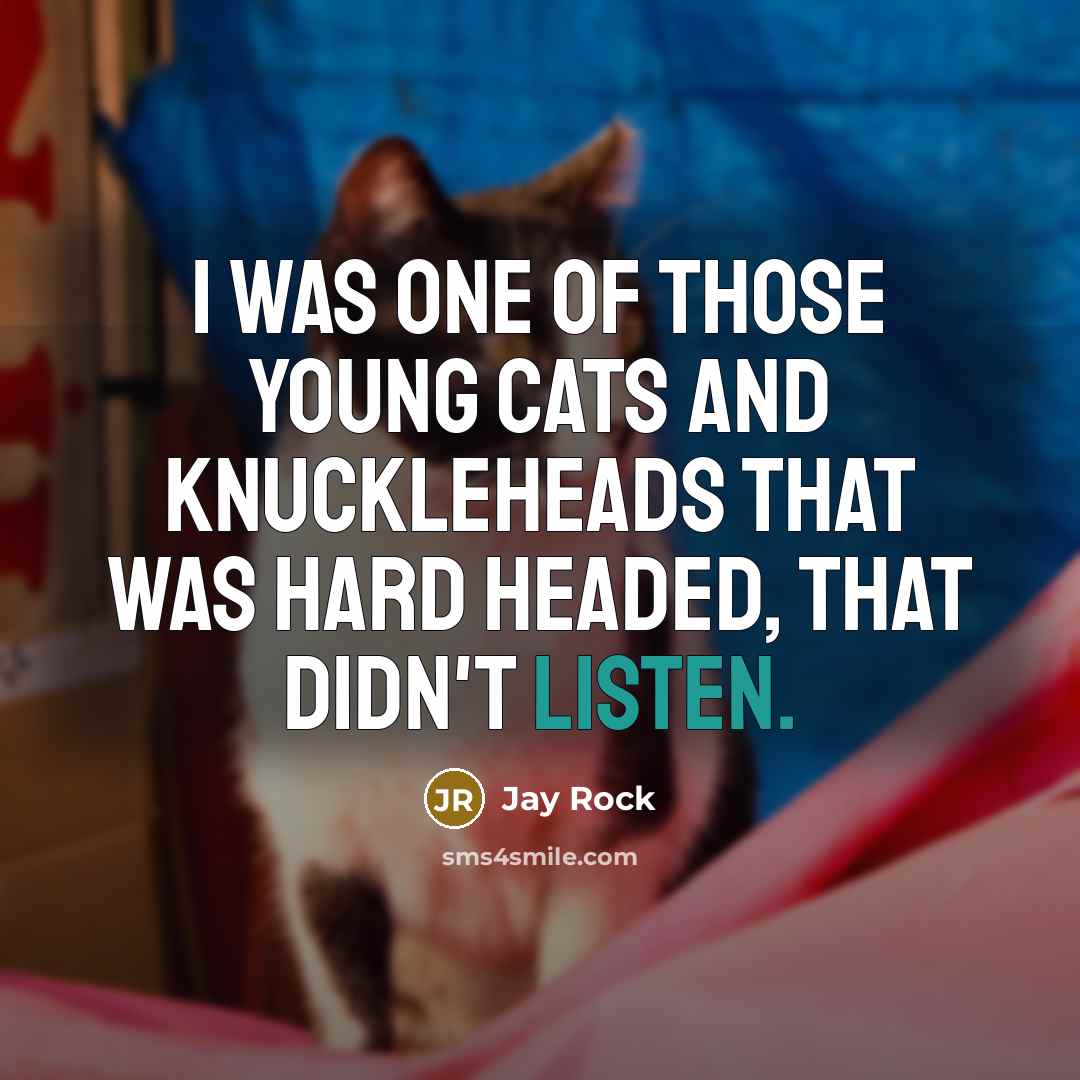 “I was one of those young cats and knuckleheads that…” quote by Jay Rock