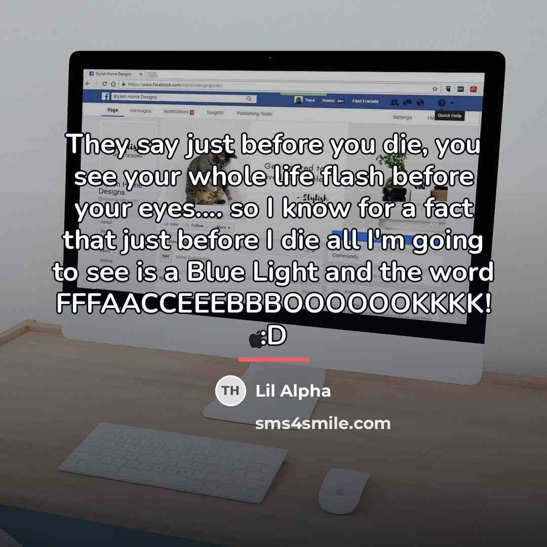 “They say just before you die, you see your whole…” quote by Lil Alpha