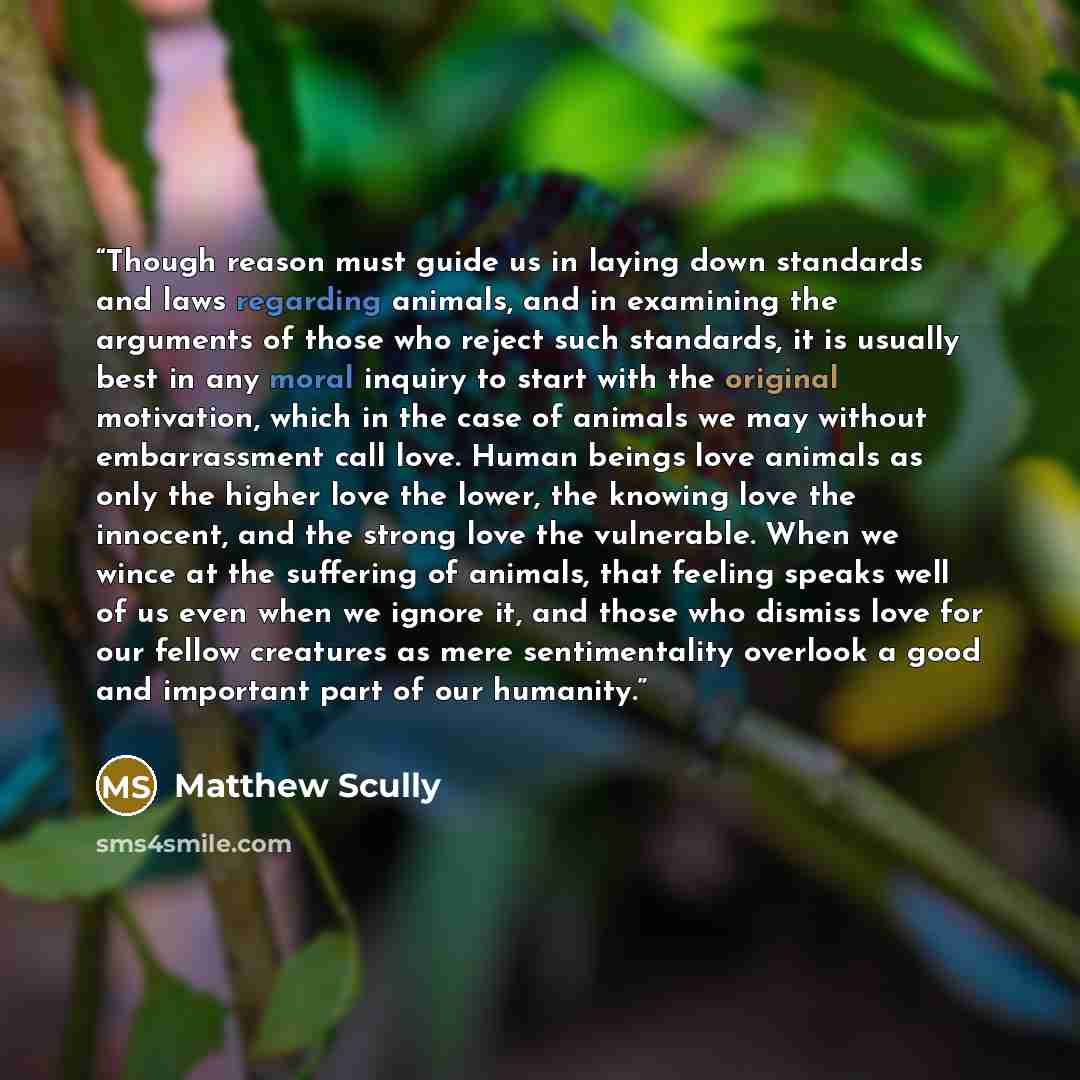 “Though reason must guide us in laying down standards and laws regarding animals, and in examining the arguments of those who reject such standards, it is usually best in any moral inquiry to start with the original motivation, which in the case of animals we may without embarrassment call love…” quote by Matthew Scully