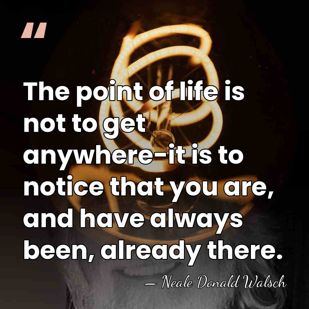 The point of life is not to get anywhere-it is to notice&hellip; - Neale Donald Walsch