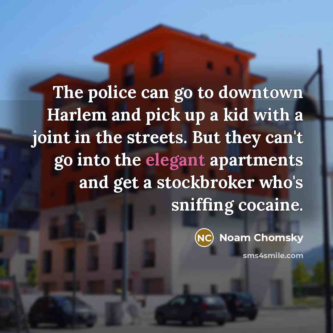 “The police can go to downtown Harlem and pick up…” quote by Noam Chomsky