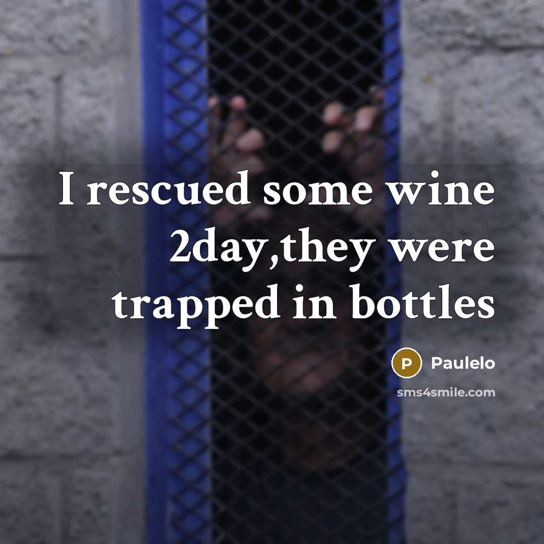 “I rescued some wine 2day,they were trapped in bottles…” quote by Paulelo