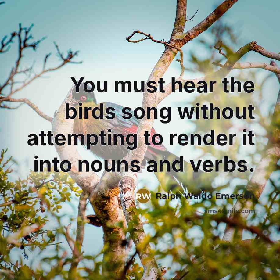 “You must hear the birds song without attempting to render…” quote by Ralph Waldo Emerson