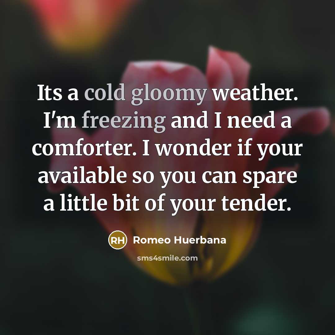 “Its a cold gloomy weather. I'm freezing and I need a comforter. I wonder if your available so you can spare a little bit of your tender.” quote by Romeo Huerbana