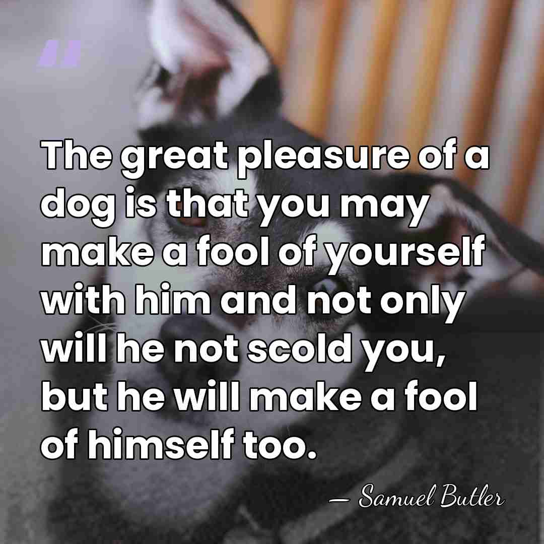 The great pleasure of a dog is that you may make a&hellip; - Samuel Butler