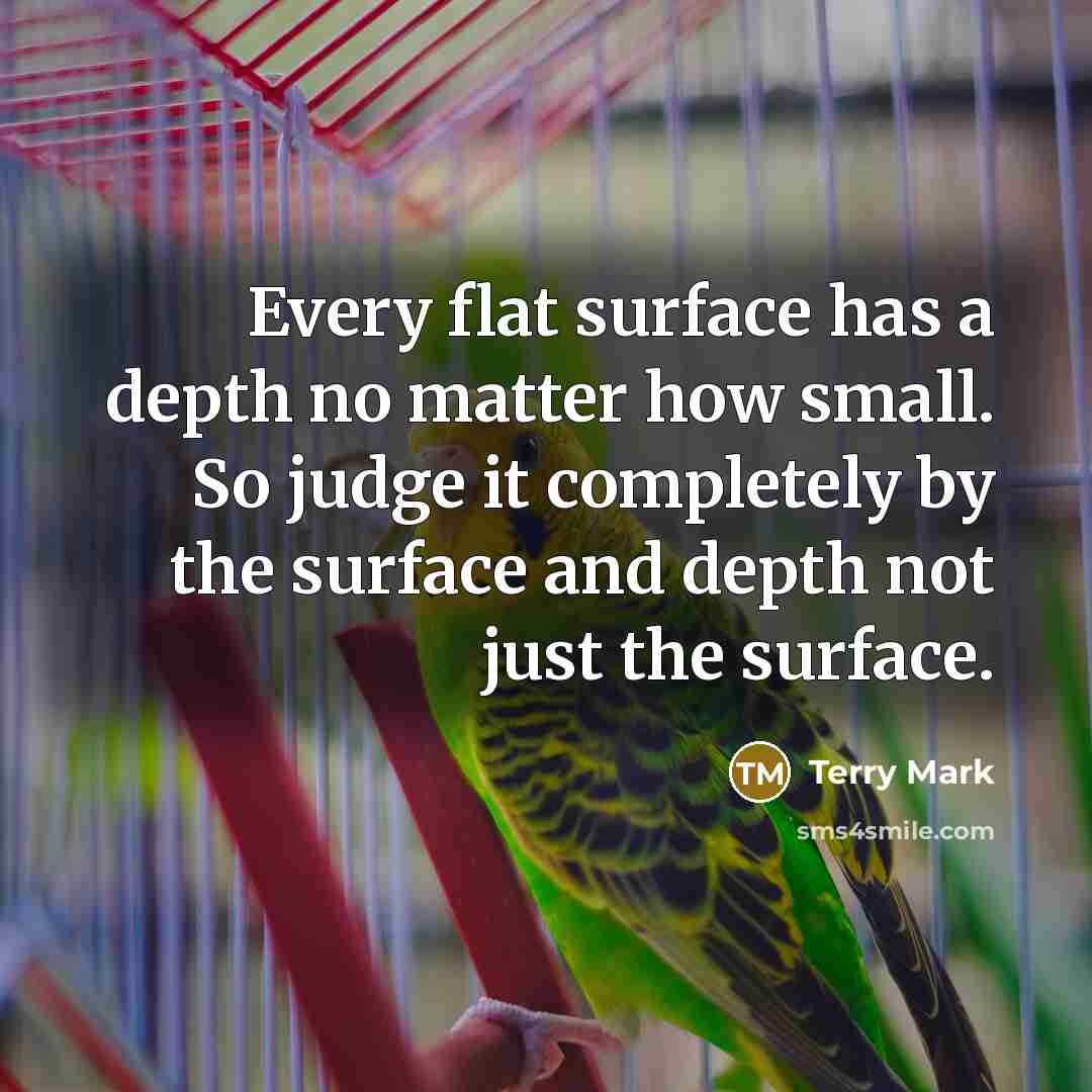 “Every flat surface has a depth no matter how small. So judge it completely by the surface and depth not just the surface.” quote by Terry Mark