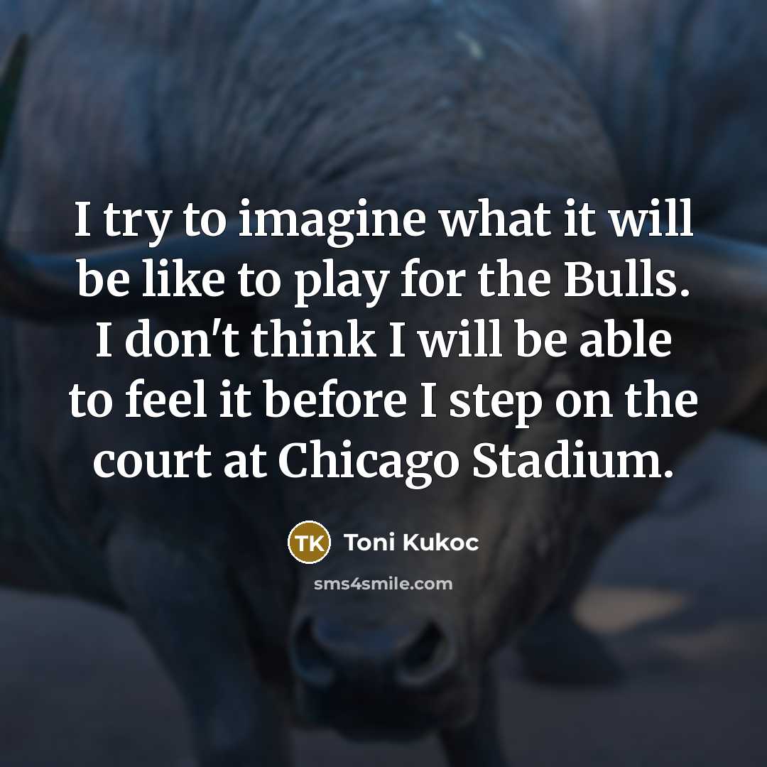 “I try to imagine what it will be like to play for the Bulls. I don't think I will be able to feel it before I step on the court at Chicago Stadium.” quote by Toni Kukoc