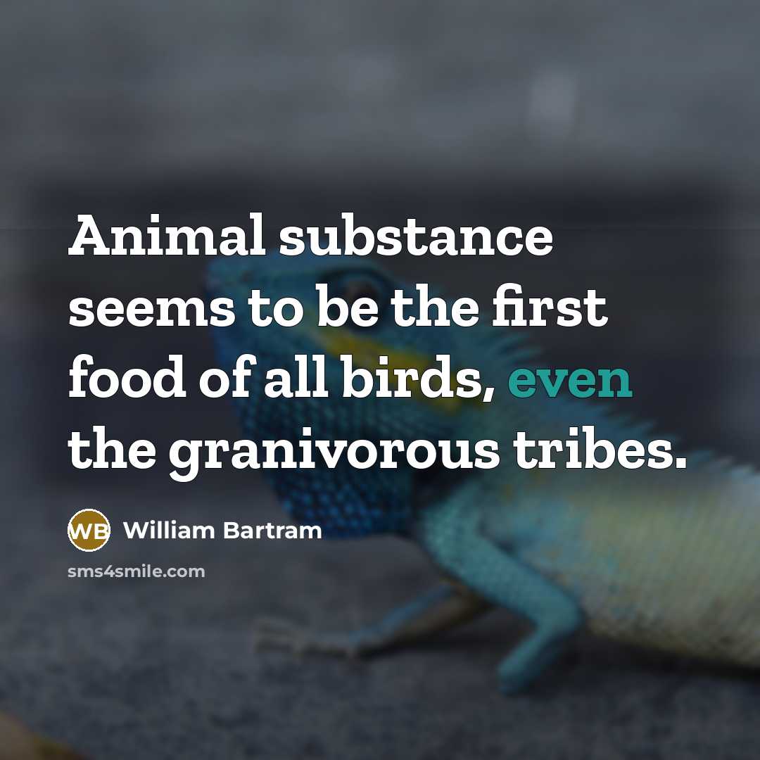 “Animal substance seems to be the first food of all…” quote by William Bartram