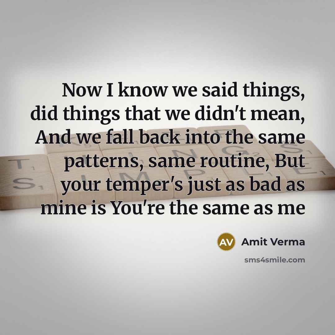 “Now I know we said things, did things that we…” quote by Amit Verma