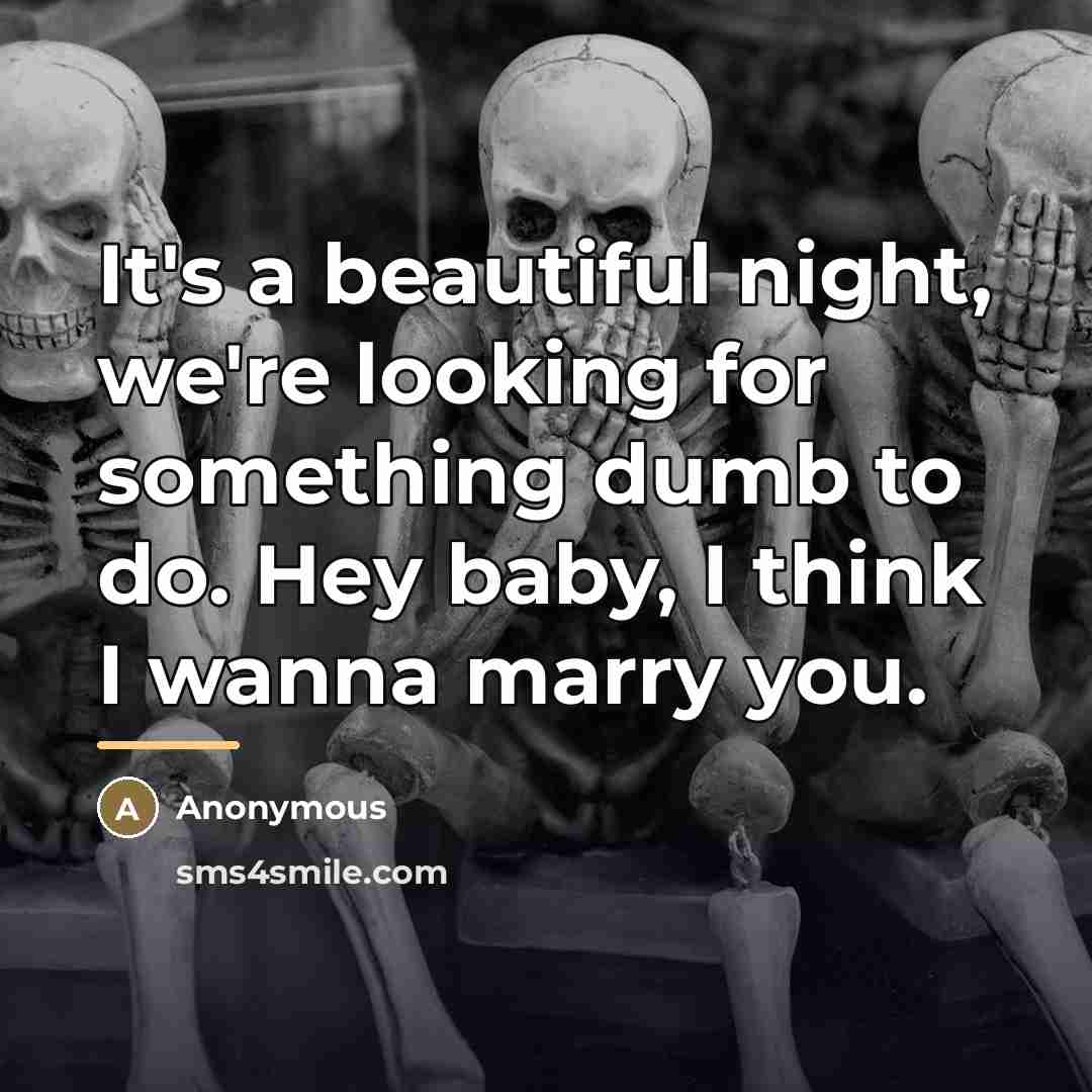 “It's a beautiful night, we're looking for something dumb to…” quote by Anonymous