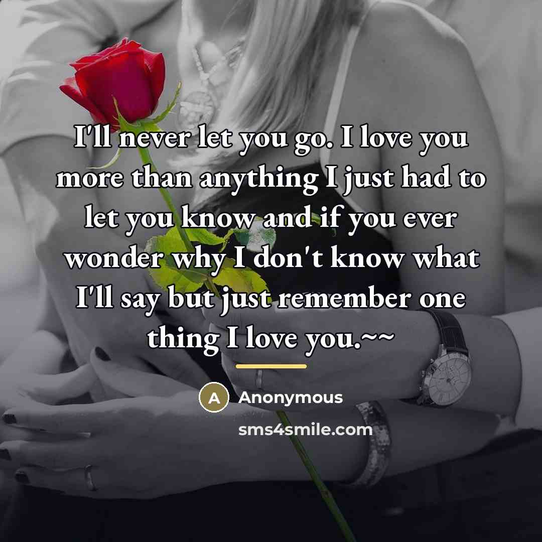 “I'll never let you go. I love you more than…” quote by Anonymous