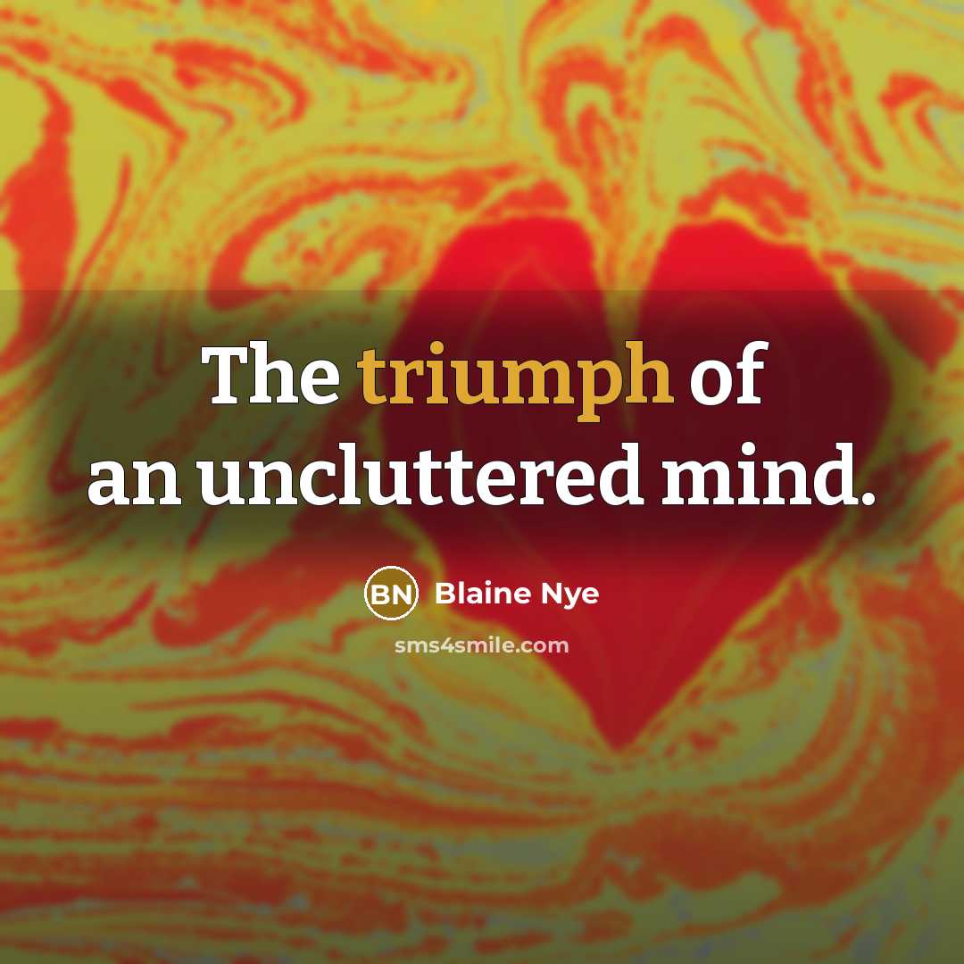 “The triumph of an uncluttered mind.…” quote by Blaine Nye