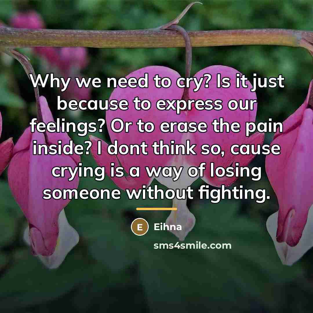“Why we need to cry? Is it just because to…” quote by Eihna