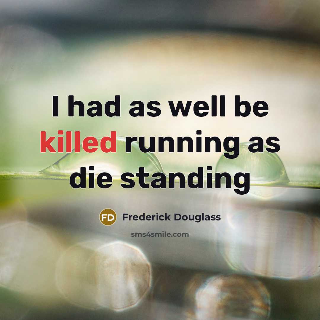 “I had as well be killed running as die standing…” quote by Frederick Douglass