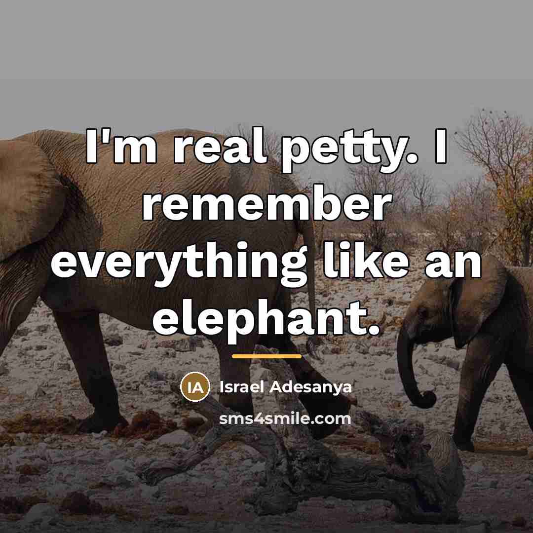 “I'm real petty. I remember everything like an elephant.…” quote by Israel Adesanya