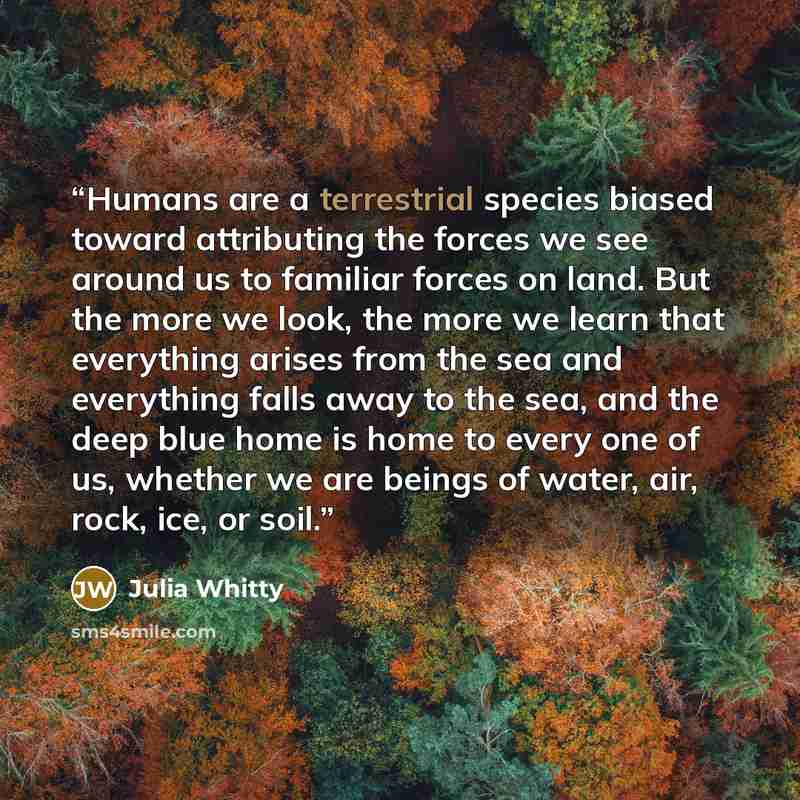 “Humans are a terrestrial species biased toward attributing the forces we see around us to familiar forces on land. But the more we look, the more we learn that everything arises from the sea and everything falls away to the sea, and the deep blue home is home to every one of us, whether we are…” quote by Julia Whitty