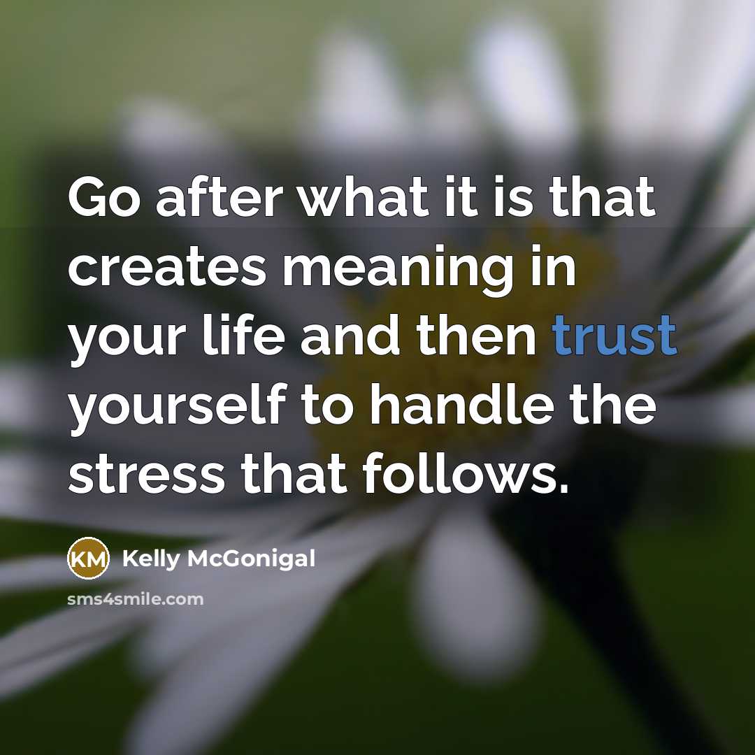 “Go after what it is that creates meaning in your…” quote by Kelly McGonigal
