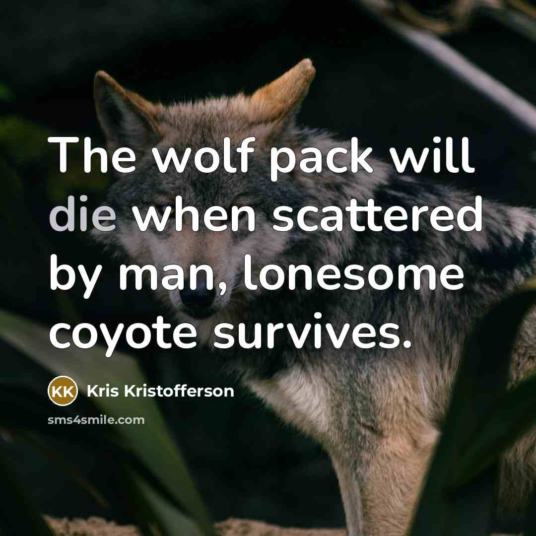 “The wolf pack will die when scattered by man, lonesome…” quote by Kris Kristofferson