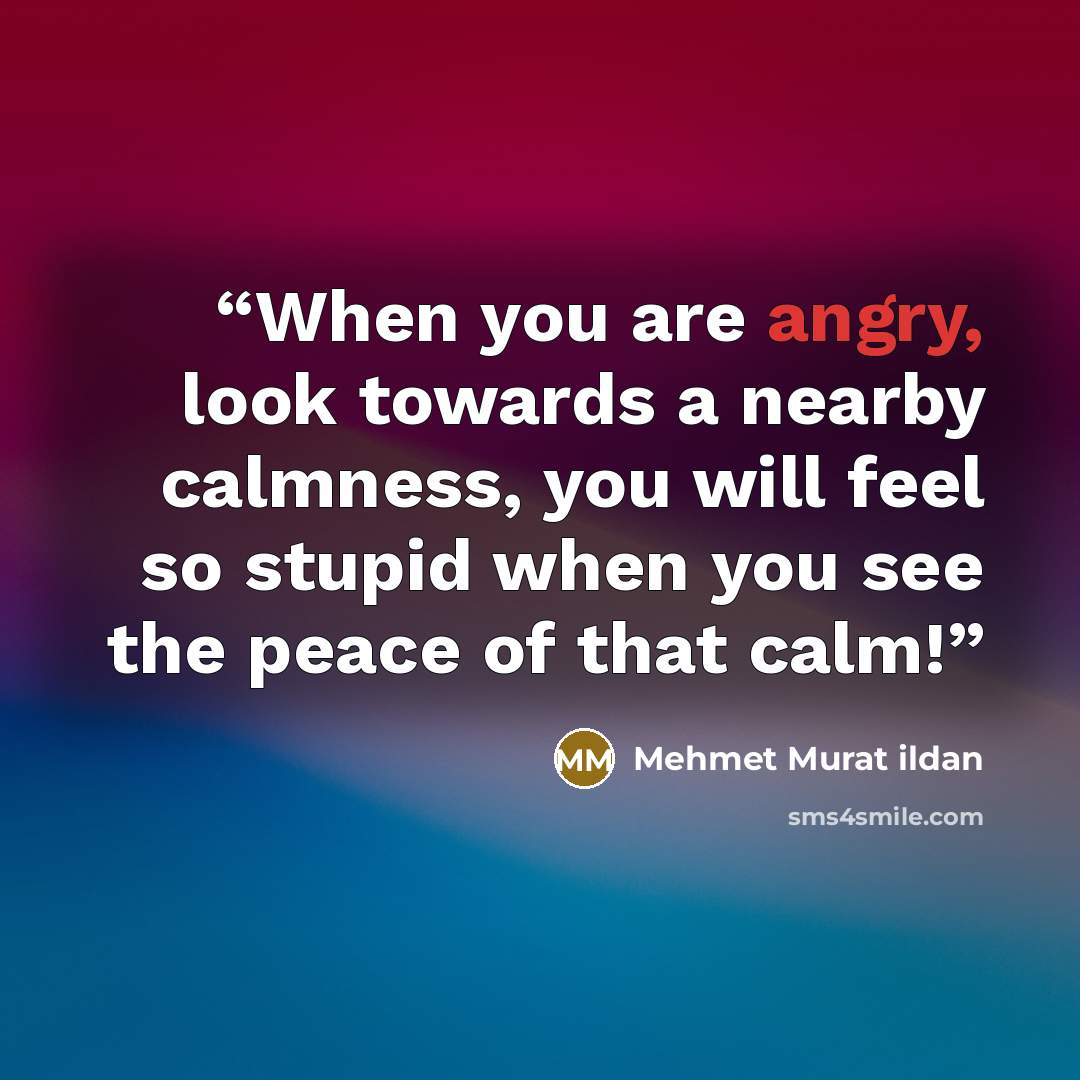 “When you are angry, look towards a nearby calmness, you will feel so stupid when you see the peace of that calm!” quote by Mehmet Murat ildan