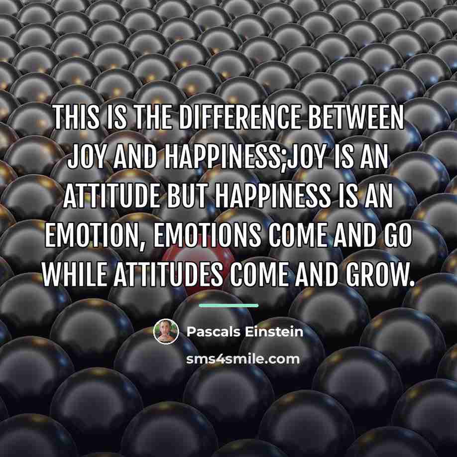 “This is the difference between joy and happiness;joy is an…” quote by Pascals Einstein