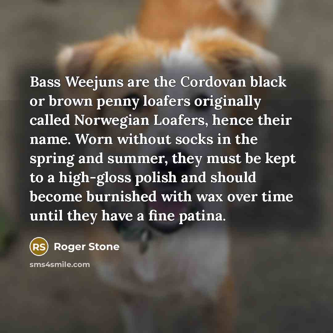 “Bass Weejuns are the Cordovan black or brown penny loafers…” quote by Roger Stone