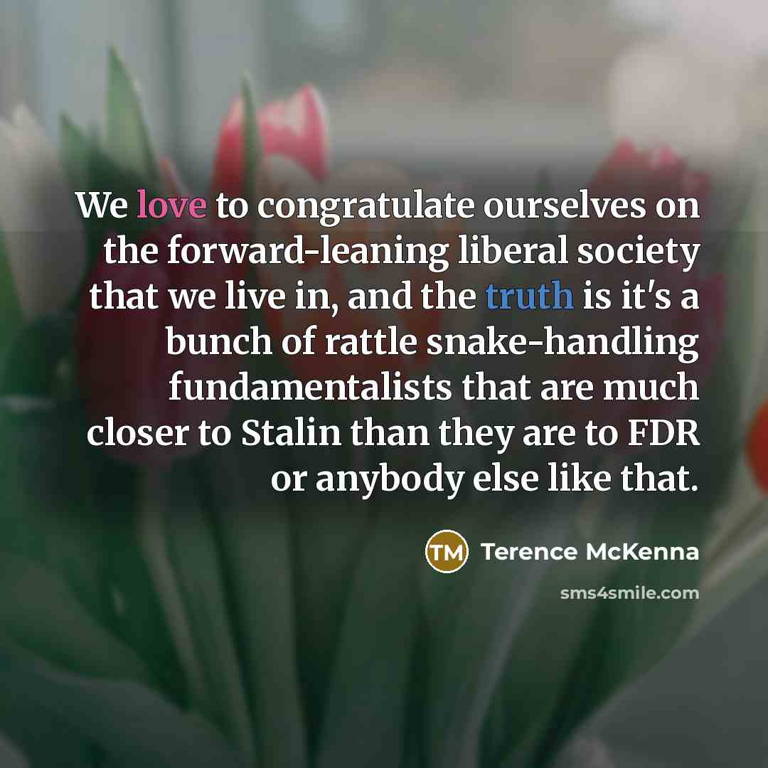 “We love to congratulate ourselves on the forward-leaning liberal society…” quote by Terence McKenna