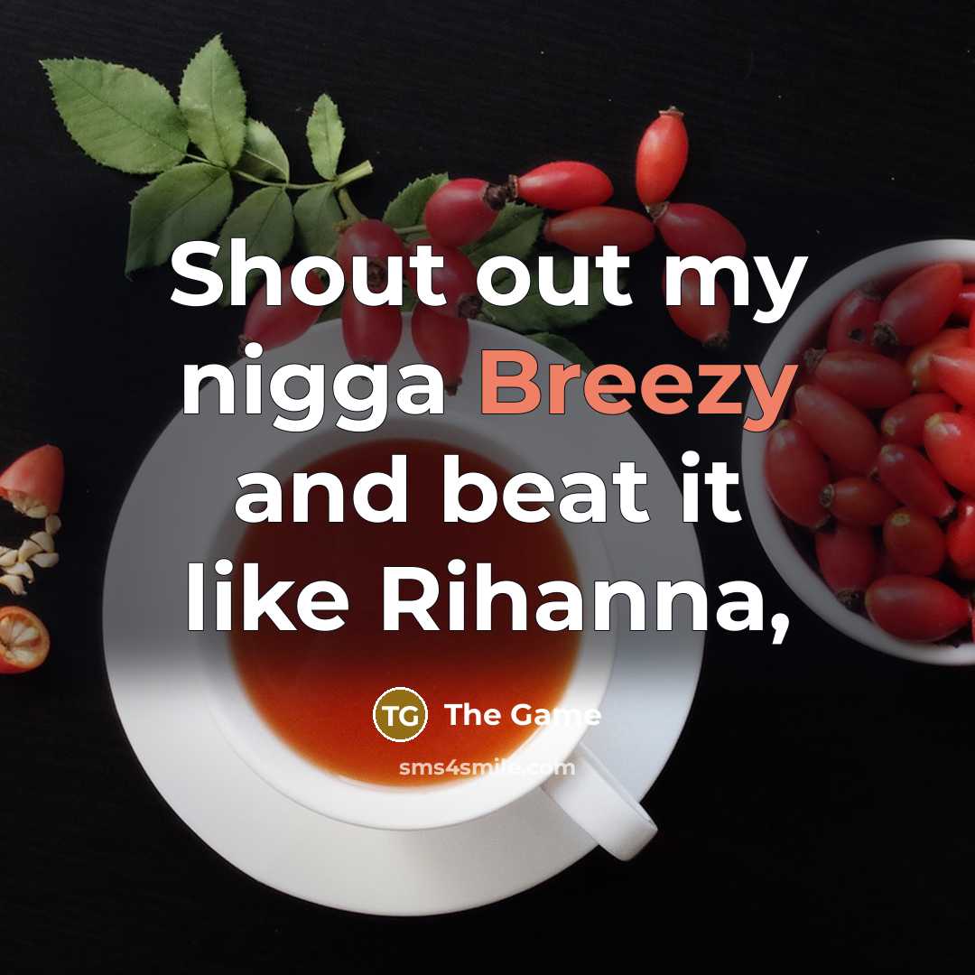 “Shout out my nigga Breezy and beat it like Rihanna,” quote by The Game