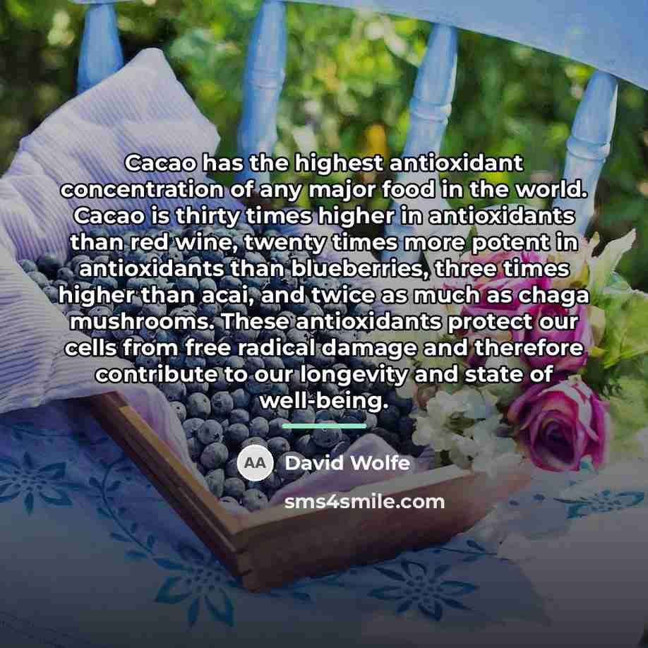 “Cacao has the highest antioxidant concentration of any major food…” quote by David Wolfe