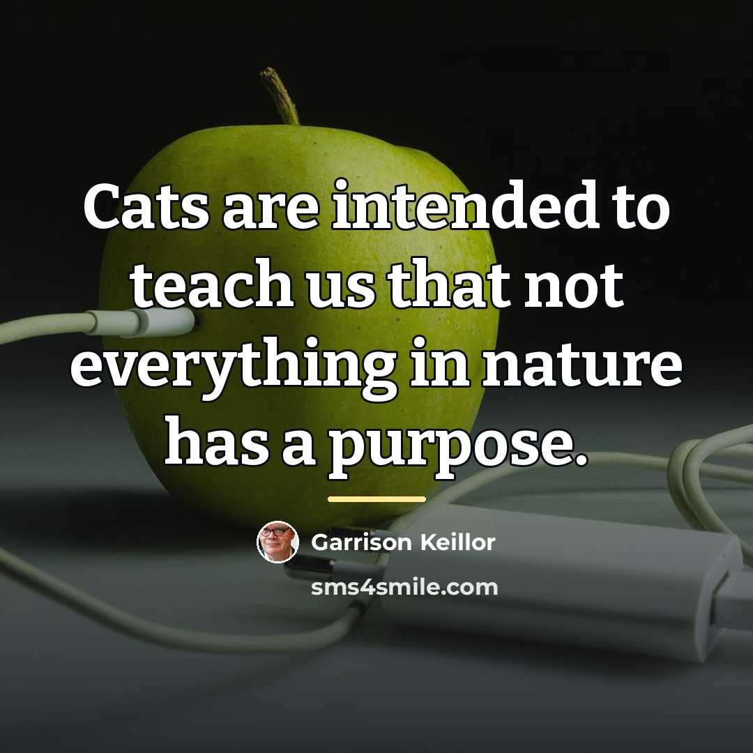 “Cats are intended to teach us that not everything in…” quote by Garrison Keillor