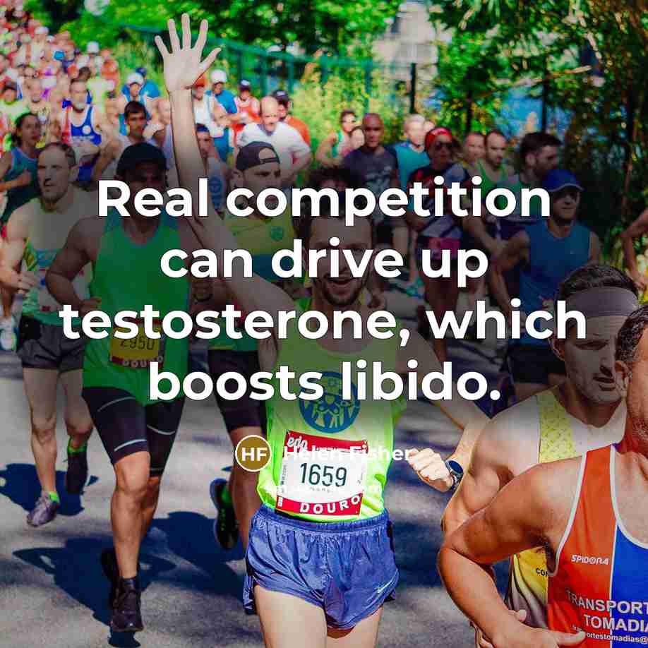 “Real competition can drive up testosterone, which boosts libido.…” quote by Helen Fisher
