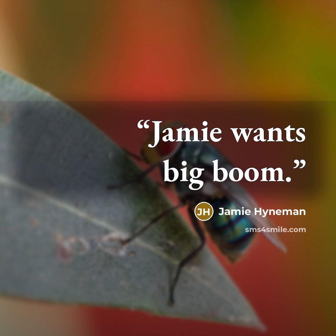 “Jamie wants big boom.” quote by Jamie Hyneman