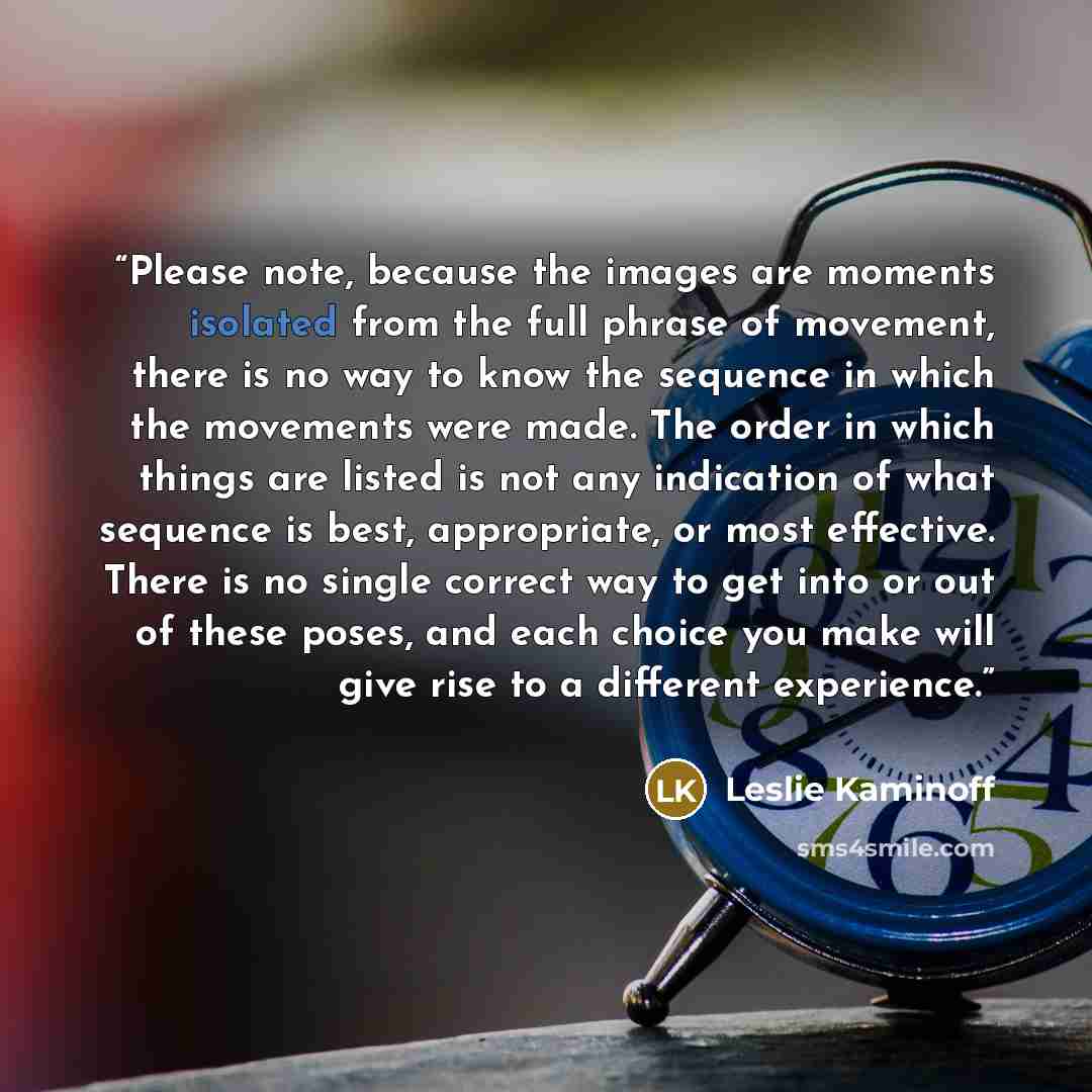 “Please note, because the images are moments isolated from the full phrase of movement, there is no way to know the sequence in which the movements were made. The order in which things are listed is not any indication of what sequence is best, appropriate, or most effective. There is no single…” quote by Leslie Kaminoff